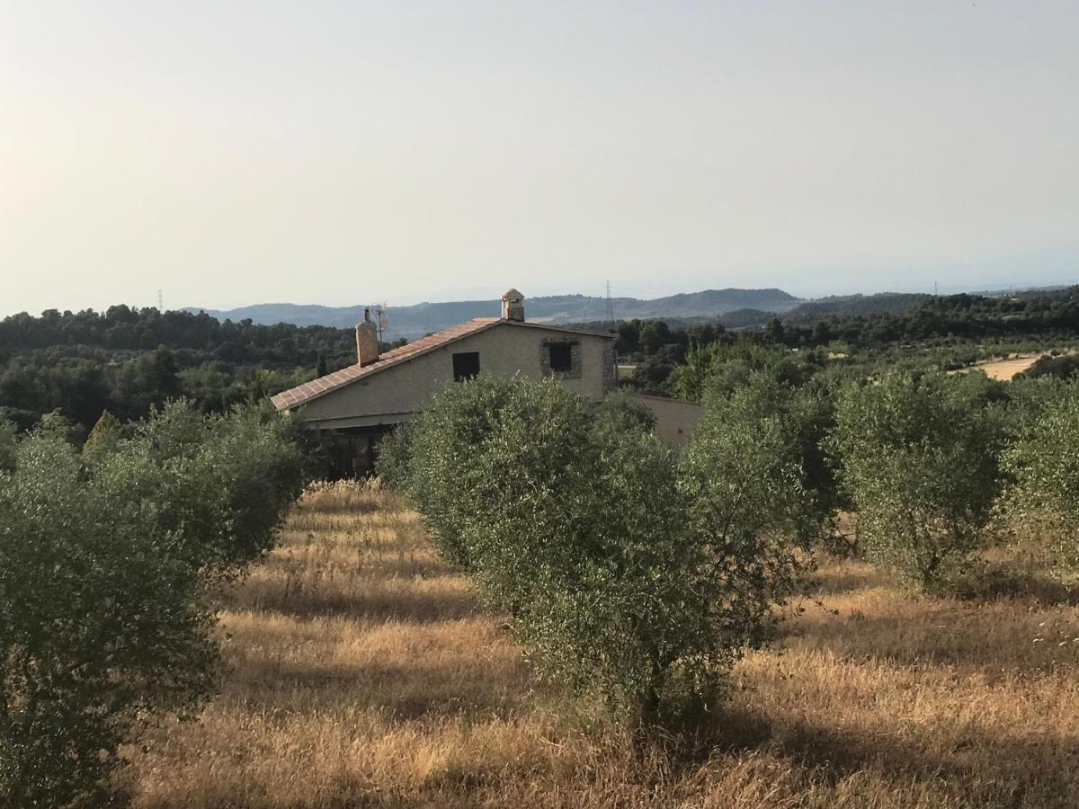 Вилла Mas Arboretum La Pobla de Cervoles Экстерьер фото